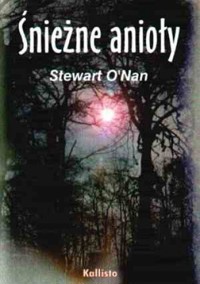 Śnieżne anioły