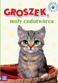 Groszek,mały cudotwórca
