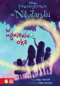 Pewnego razu w Nibylandii. W mgnieniu oka [tom 1]
