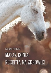 Masaż konia receptą na zdrowie!