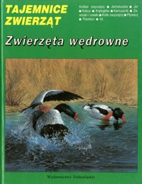 Tajemnice zwierząt. Zwierzęta wędrowne