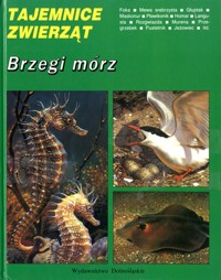 Tajemnice zwierząt. Brzegi mórz