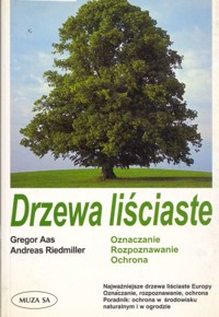 Drzewa liściaste