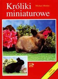 Króliki miniaturowe