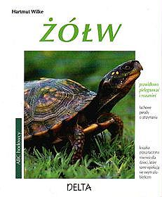 Żółw. Prawidłowo pielęgnować i rozumieć