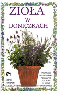 Zioła w doniczkach