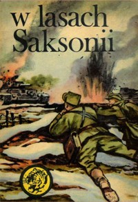 W lasach Saksonii