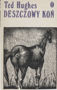 Deszczowy koń
