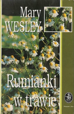 Rumianki w trawie