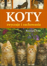 Koty. Zwyczaje i zachowania