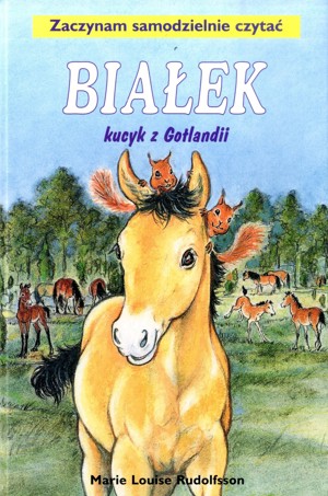 Białek kucyk z Gotlandii