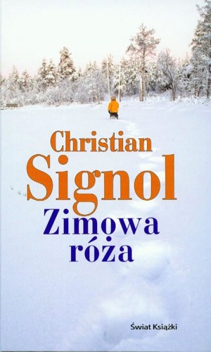 Zimowa róża