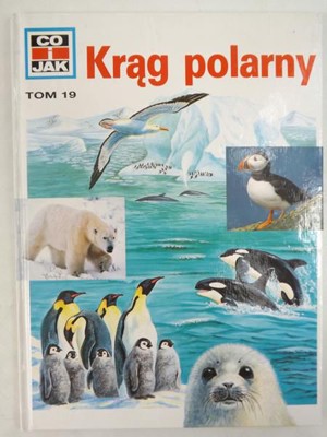 Co i jak (19). Krąg polarny