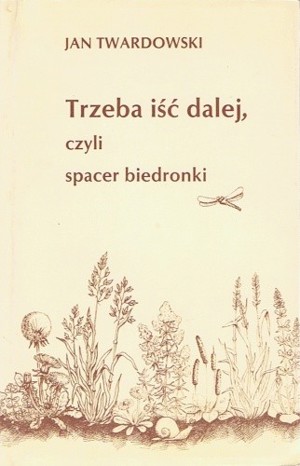 Trzeba iść dalej, czyli spacer biedronki