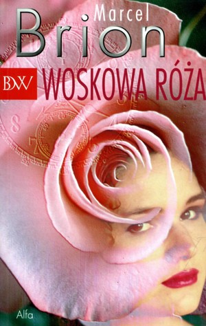 Woskowa róża