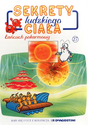 Sekrety ludzkiego ciała (27). Łańcuch pokarmowy