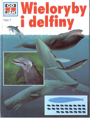 Co i jak (7). Wieloryby i delfiny