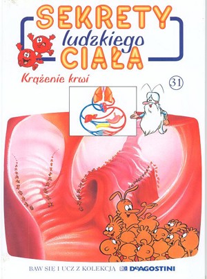 Sekrety ludzkiego ciała (31). Krążenie krwi