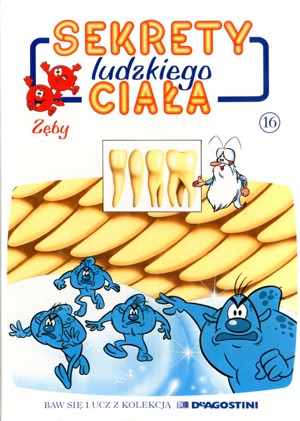 Sekrety ludzkiego ciała (16). Zęby