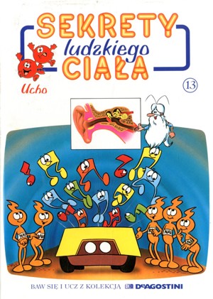 Sekrety ludzkiego ciała (13). Ucho