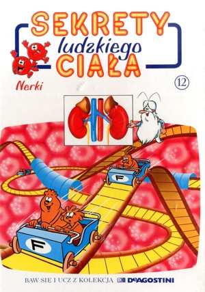 Sekrety ludzkiego ciała (12). Nerki