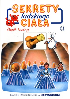 Sekrety ludzkiego ciała (11). Szpik kostny