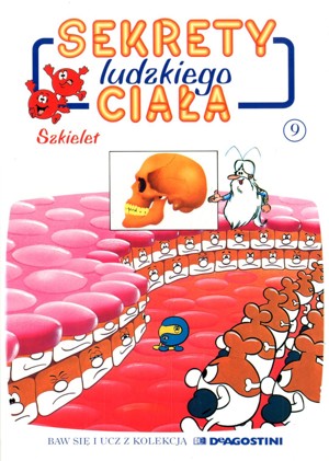 Sekrety ludzkiego ciała (9). Szkielet