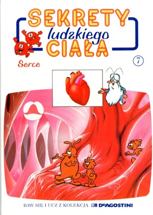 Sekrety ludzkiego ciała (7). Serce