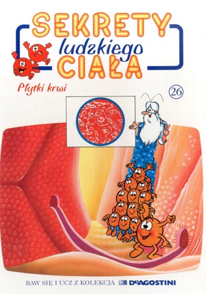 Sekrety ludzkiego ciała (26). Płytki krwi
