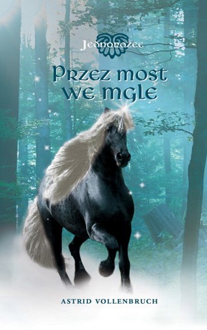 Jednorożec. Przez most we mgle