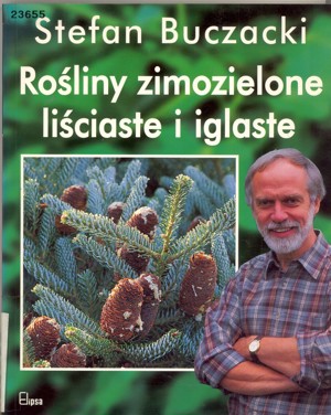 Rośliny zimozielone liściaste i iglaste
