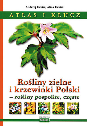Atlas i klucz. Rośliny zielne i krzewinki Polski – rośliny pospolite, częste