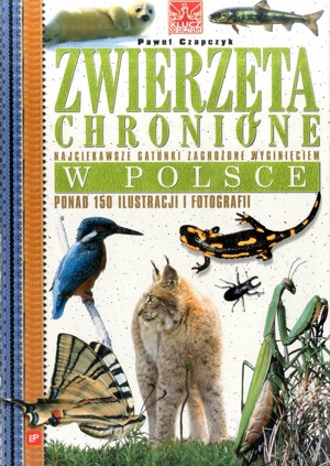 Zwierzęta chronione w Polsce