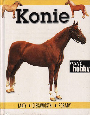 Moje hobby. Konie