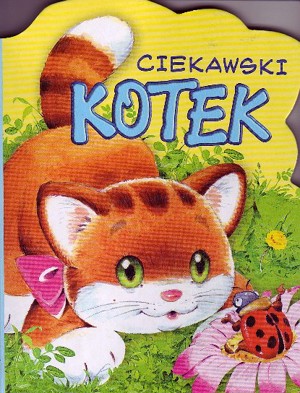 Ciekawski kotek