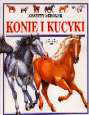 Zeszyty szkolne. Konie i kucyki