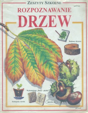 Zeszyty szkolne. Rozpoznawanie drzew