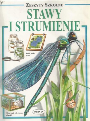 Zeszyty szkolne. Stawy i strumienie