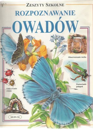Zeszyty szkolne. Rozpoznawanie owadów