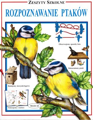 Zeszyty szkolne. Rozpoznawanie ptaków