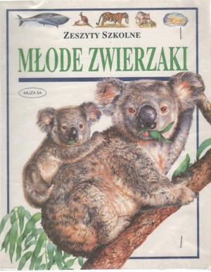 Zeszyty szkolne. Młode zwierzaki