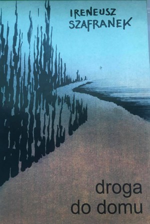 Droga do domu.