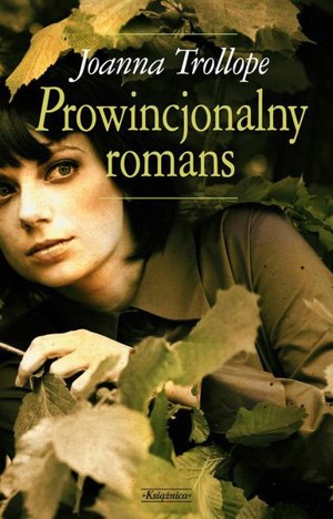Prowincjonalny romans