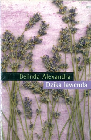 Dzika lawenda