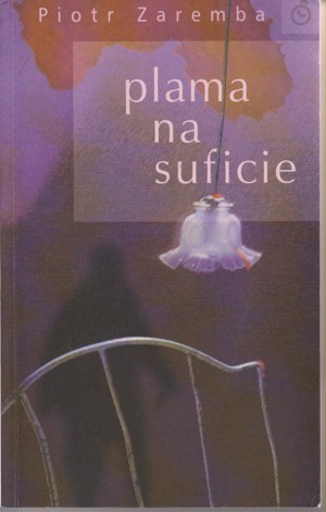 Plama na suficie