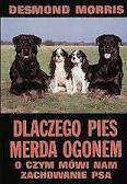 Dlaczego pies merda ogonem. O czym mówi nam zachowanie psa