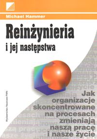 Reinżynieria i jej następstwa