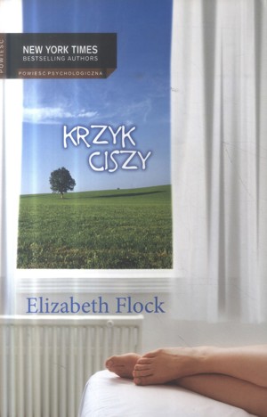 Krzyk ciszy