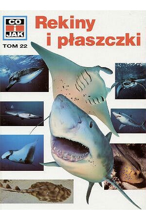 Co i Jak (22). Rekiny i płaszczki