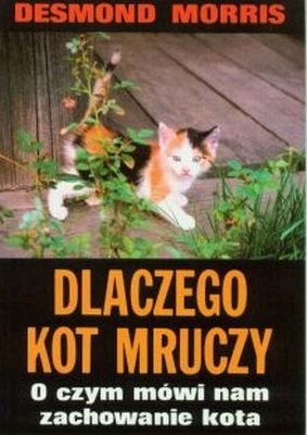 Dlaczego kot mruczy. O czym mówi nam zachowanie kota